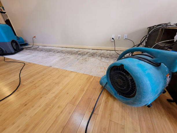 Professional Flood Damage Cleanup technician working in Silver Grove, KY